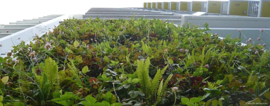 Geneviève's Favourite Green Wall
