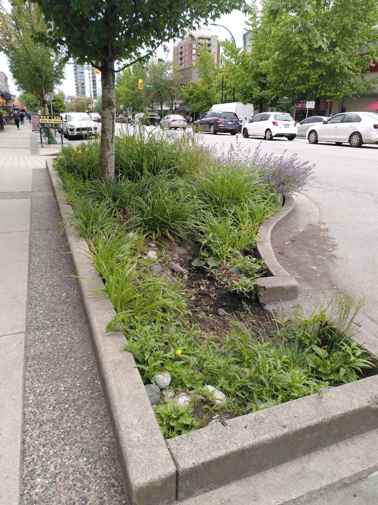 Stormwater Management System