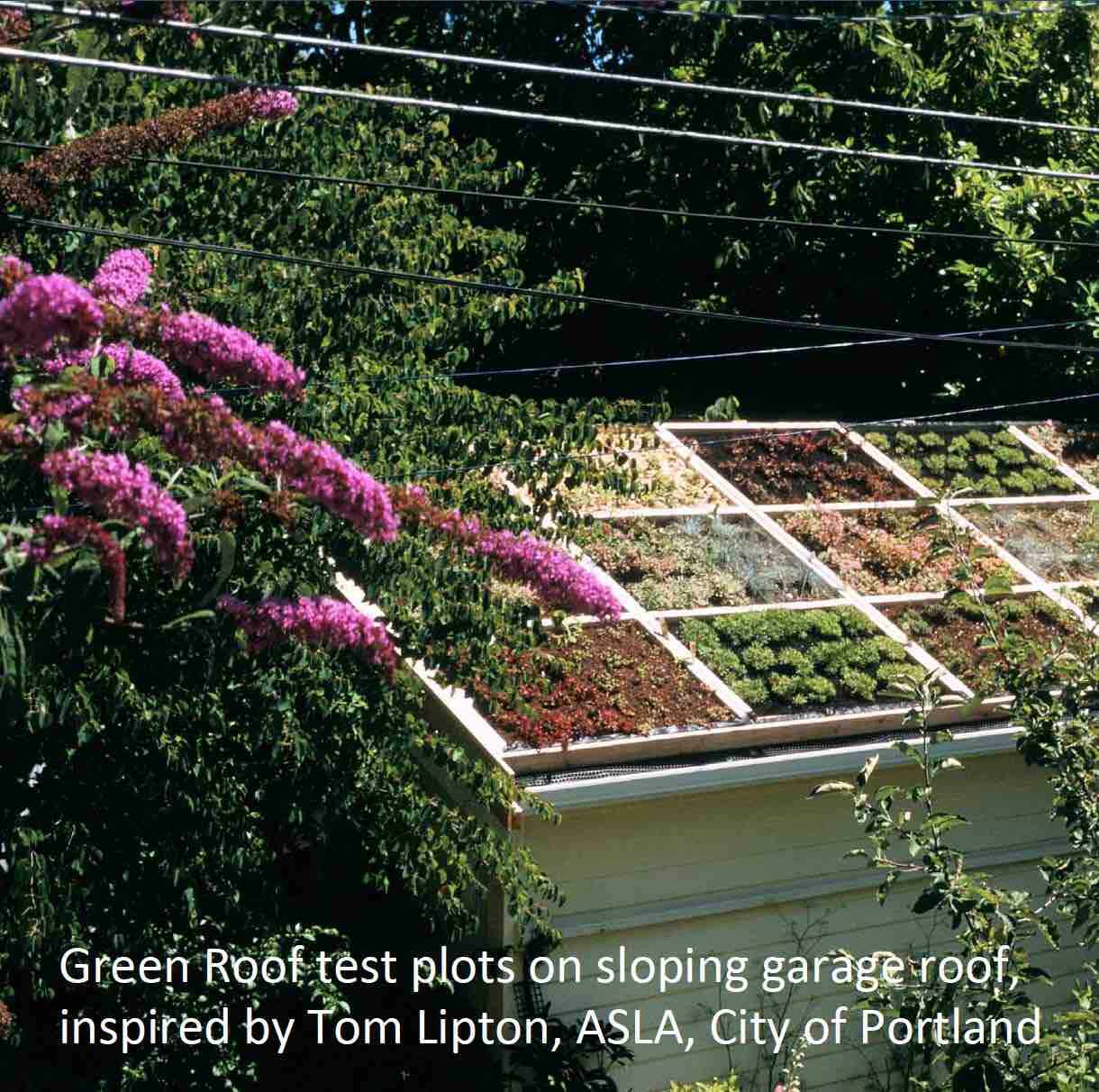prototype green roof