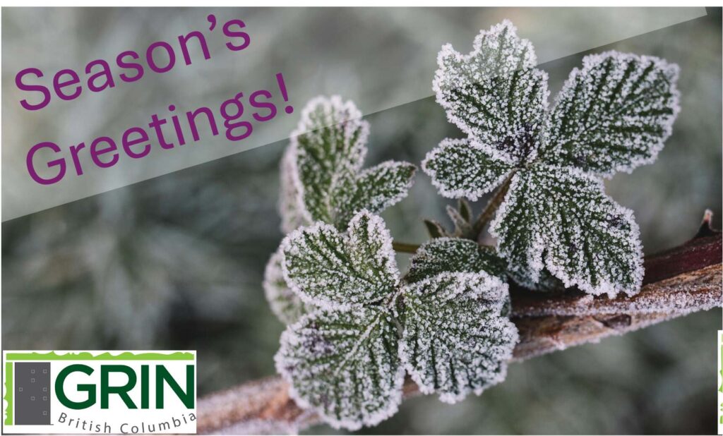Frostly Rubus leaves with Seasons Greetings in purple text